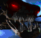 SCC-GG's Avatar